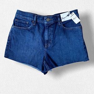 Express High Waisted Shorts